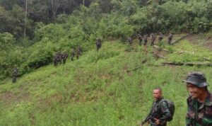 Prajurit Kodam I/BB Temukan Ladang Ganja
