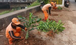 Bantaran Kali Cengkareng Drain Disulap Jadi Taman Hijau, Pemkot Cegah PKL Kembali Berjualan