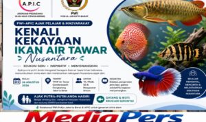 IMG-20260813-WA0017