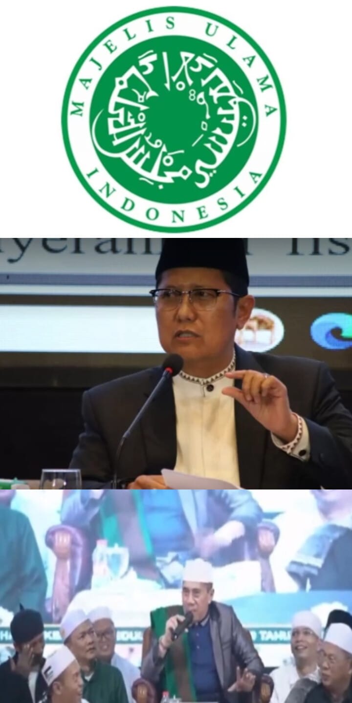 MUI Serukan Umat Islam Tak Lagi Undang Habib Alwi Assegaf, Ini Pemicu Kontroversinya